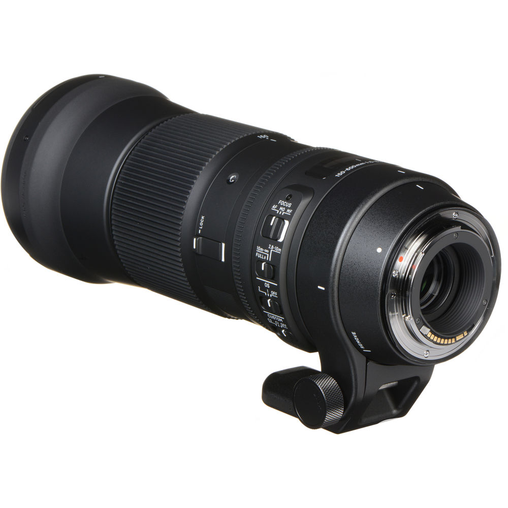 sigma 150 600mm contemporary lens amazon